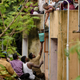 India-chennai-Flooding